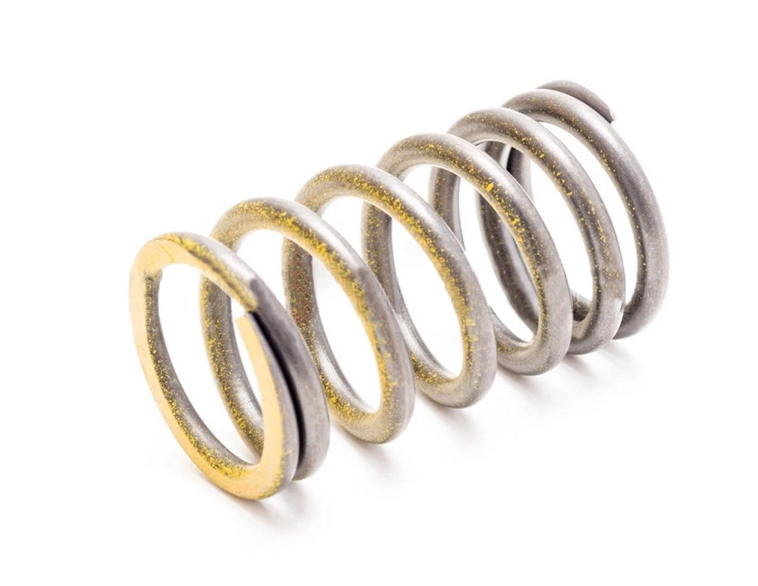 Outer Valve Spring for Sea Doo 4-Tec Utopia Islandia Wake SP