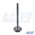 WSM Intake Valve for Polaris 400 500 (1996–2014) 017-401-01