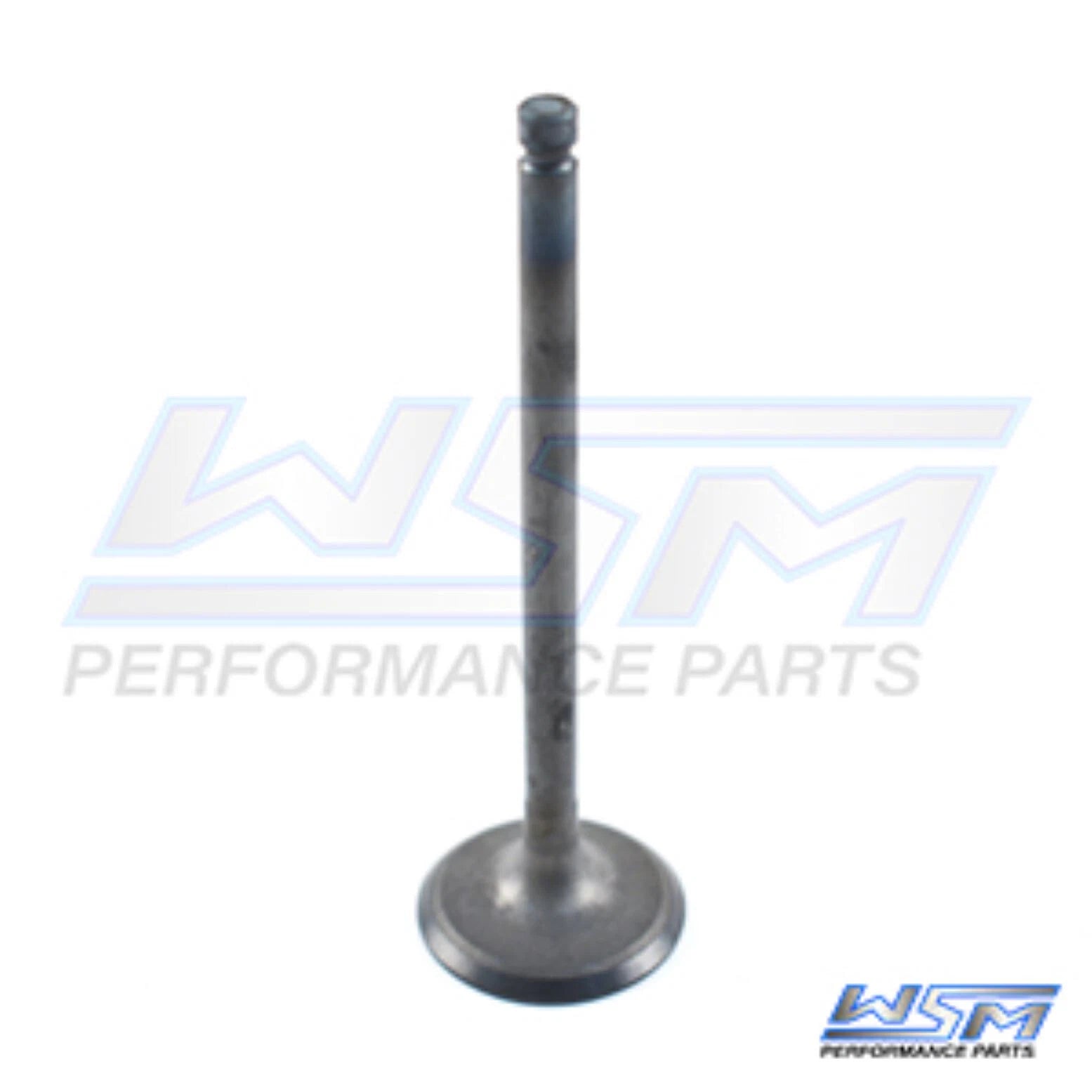 WSM Intake Valve for Polaris 400 500 (1996–2014) 017-401-01