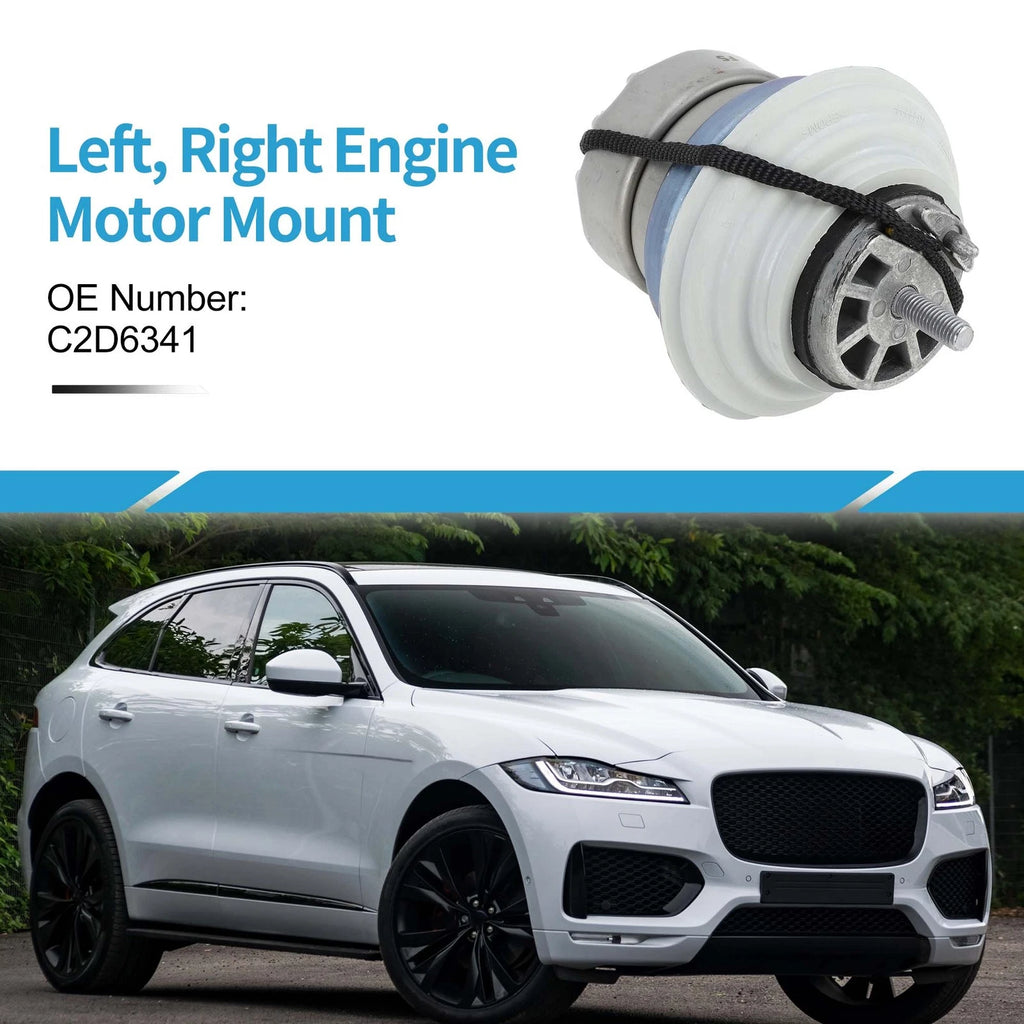 Engine Motor Mount for Jaguar XJ (2010–2019)