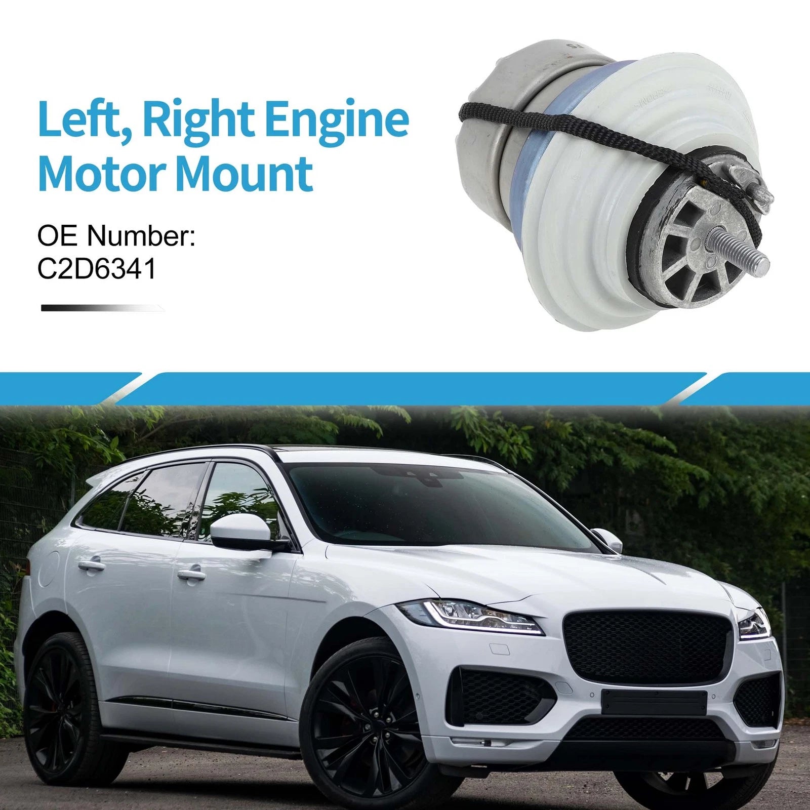 Engine Motor Mount for Jaguar XJ (2010–2019)
