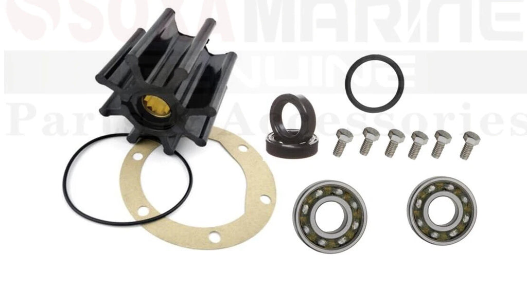 Major Repair Kit for Volvo Penta Pump 858469 858470 858701 (AD31/41 TAMD31/41)