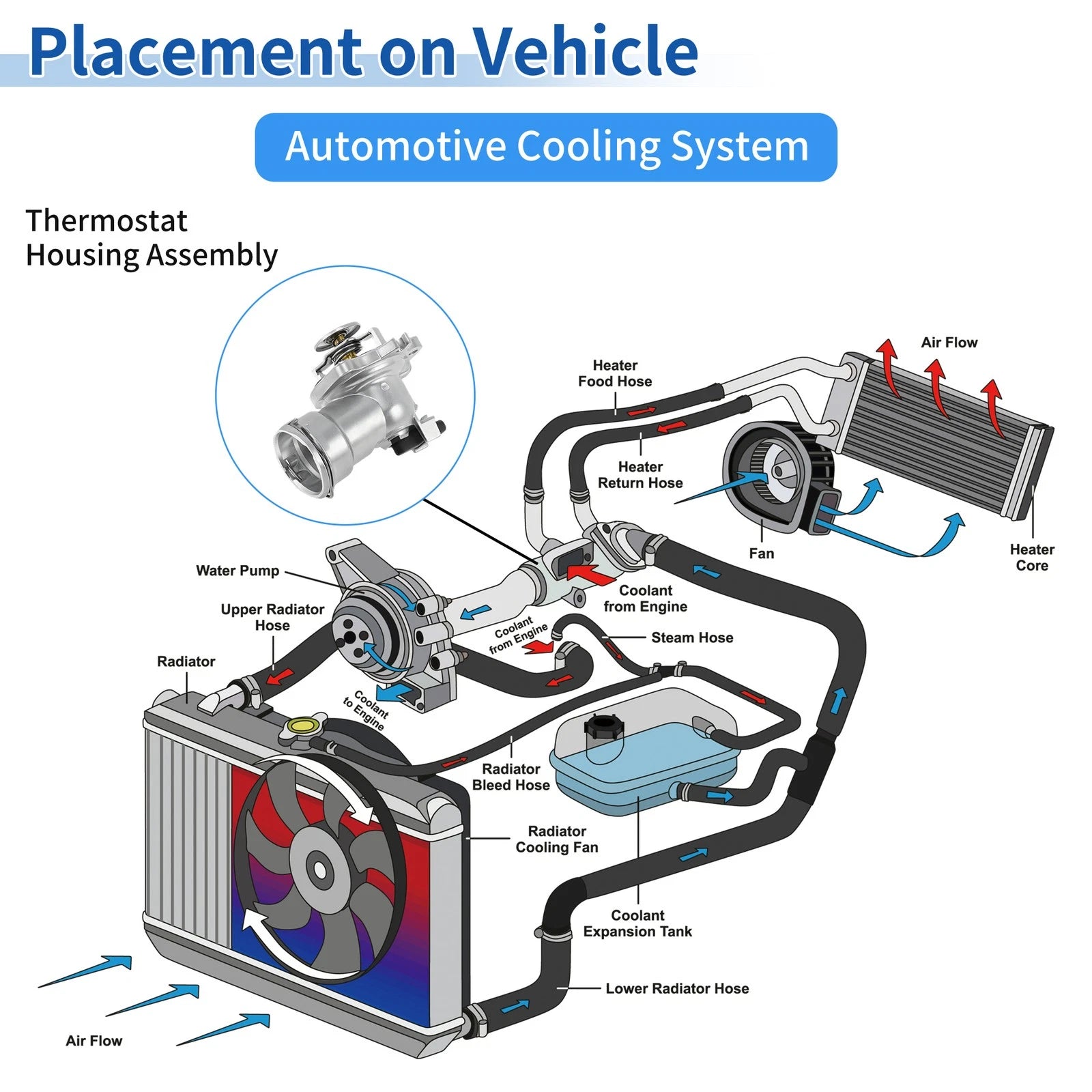 Engine Coolant Thermostat Replacement for Mercedes-Benz GL320 (2009–2010)