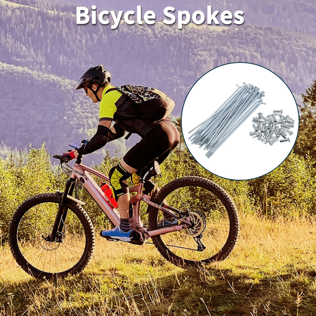 Bicycle Spoke Nipple Set Galvanized Steel 45mm for Universal (2000–2020)