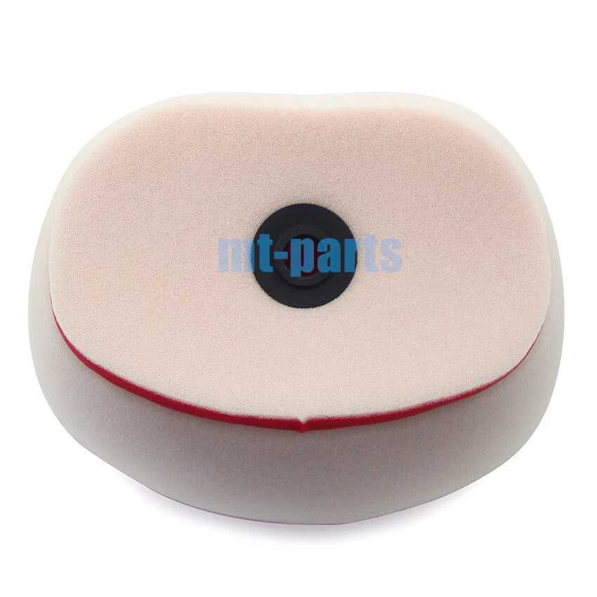 Air Filter Element for Bosuer BSE M5 M-5 250L (2019)