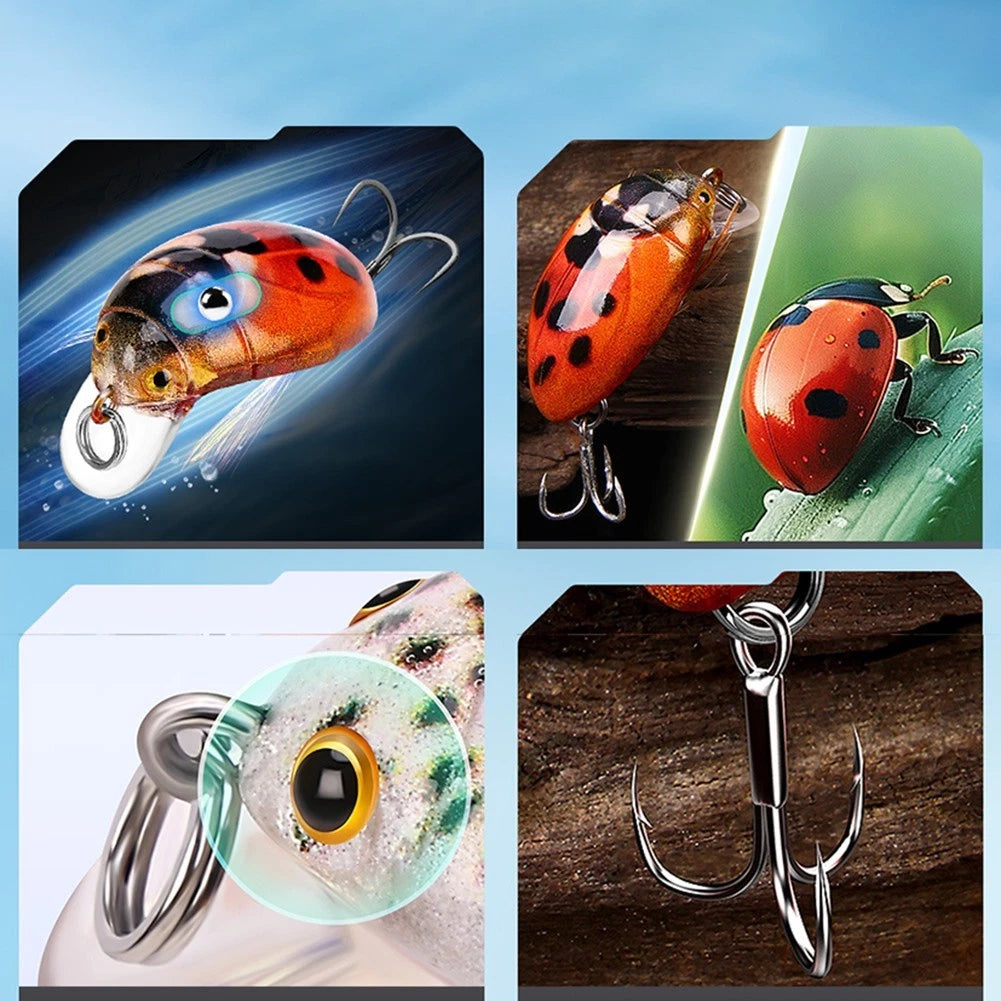 Hard Lures for All Makes and Models