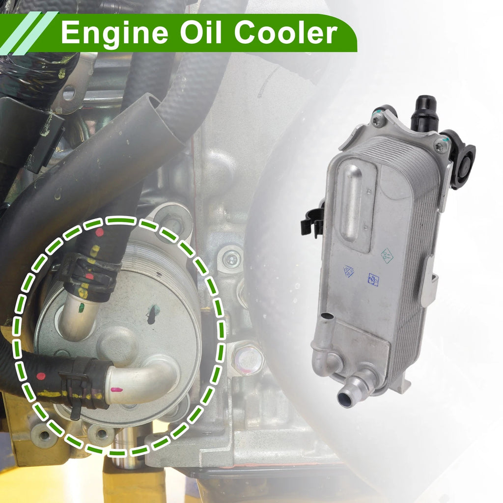 Engine Oil Cooler for BMW 320i xDrive 2013-2018 Transmission Cooler OEM Replacement