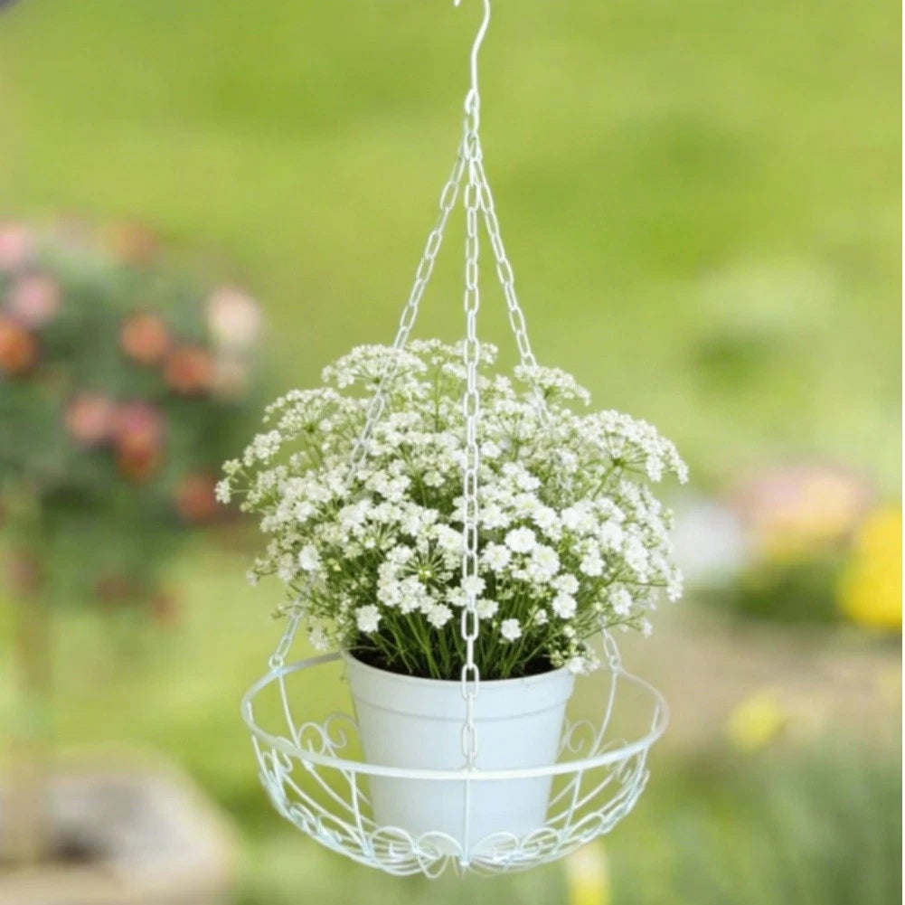 Hanging Basket for Home Decor - White Wall Mounted Iron Planter