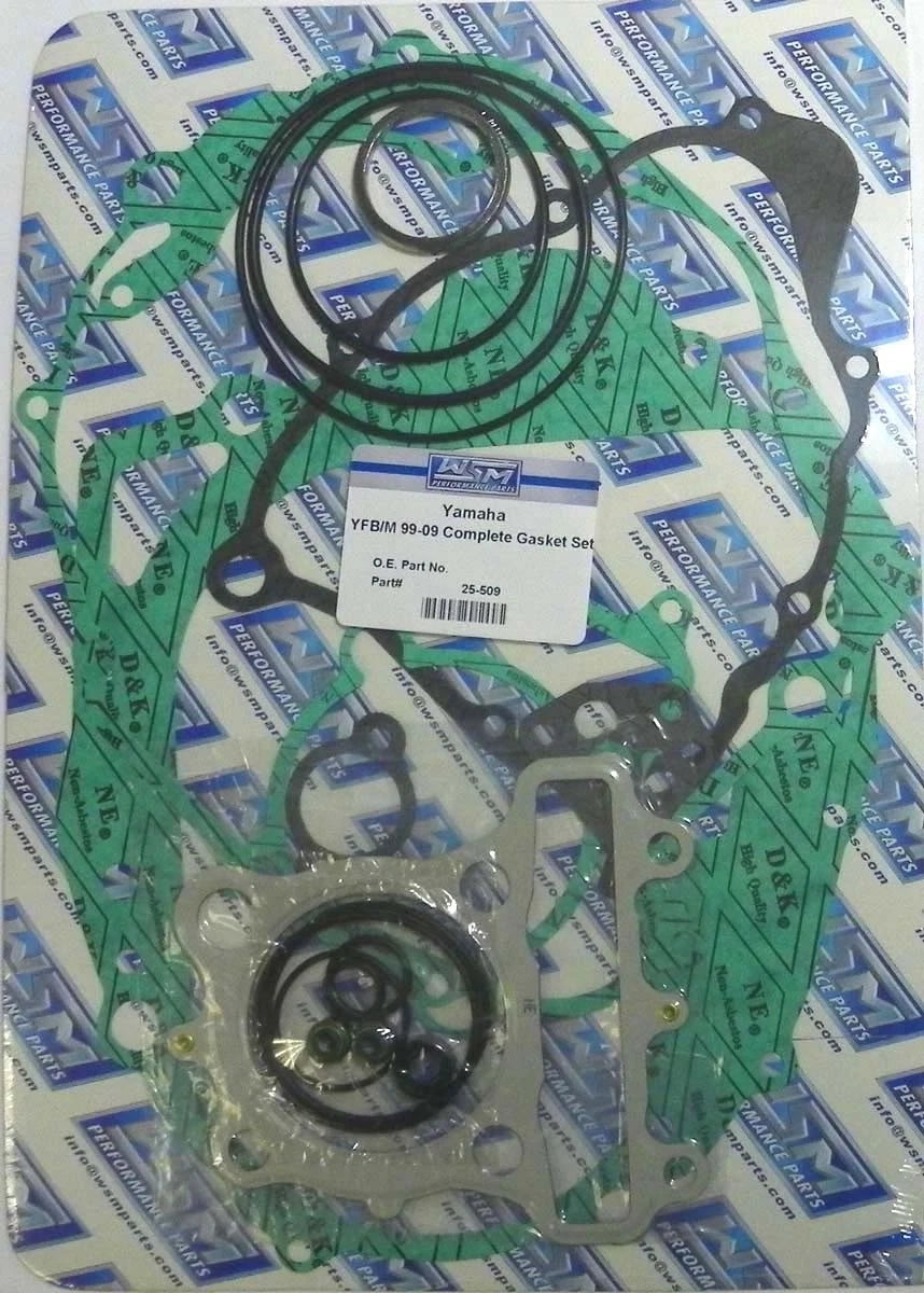 Complete Gasket Kit for Yamaha 250 Bear Tracker (1999–2004) 25-509