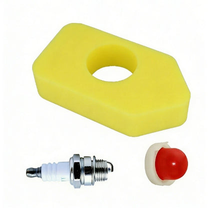 Carburetor Kit for Lawn Mower (795477, 698369, 795469)