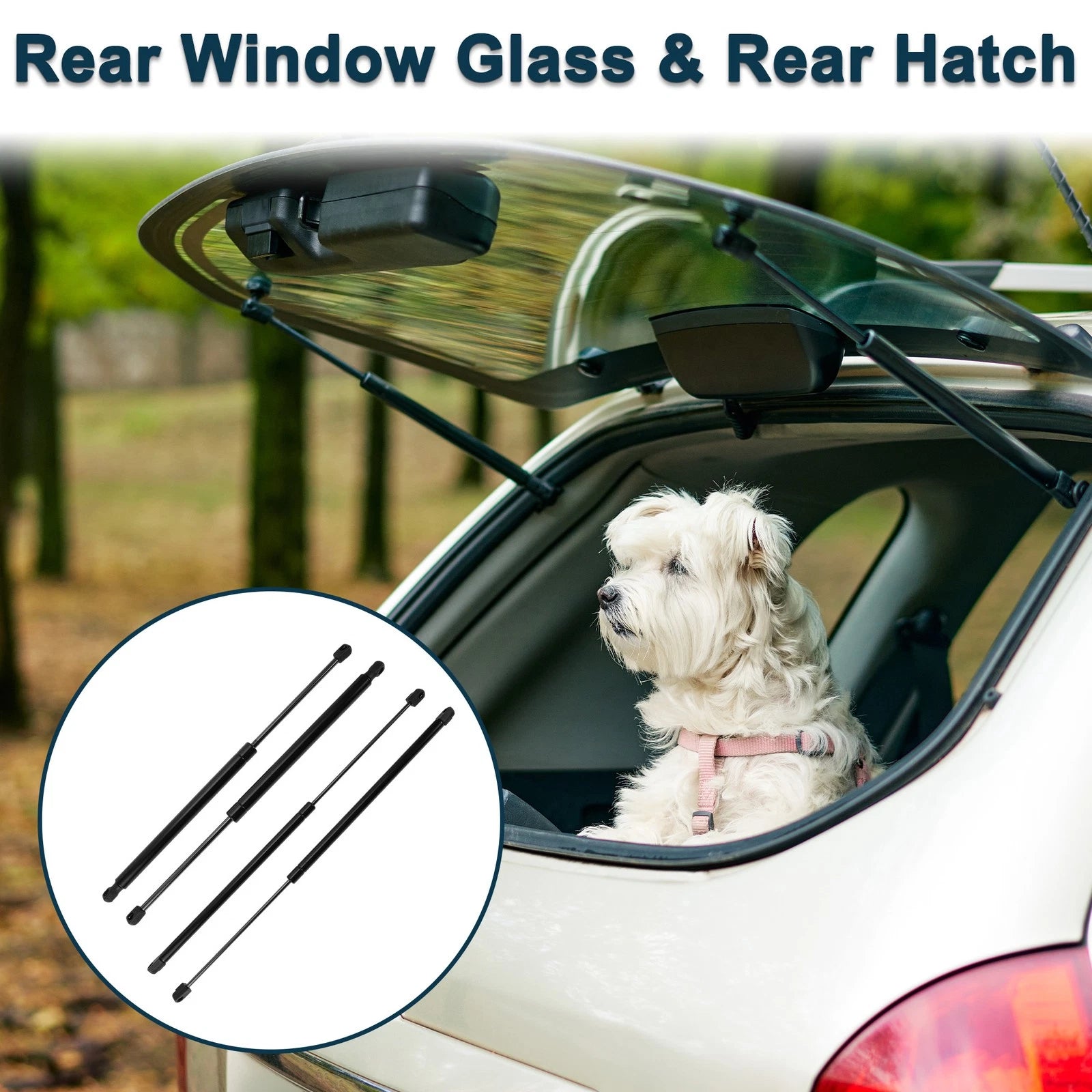 Rear Window Glass Lift Supports Struts for Buick Rainier (2004–2007)