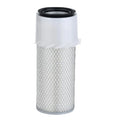 Air Filter for P181050