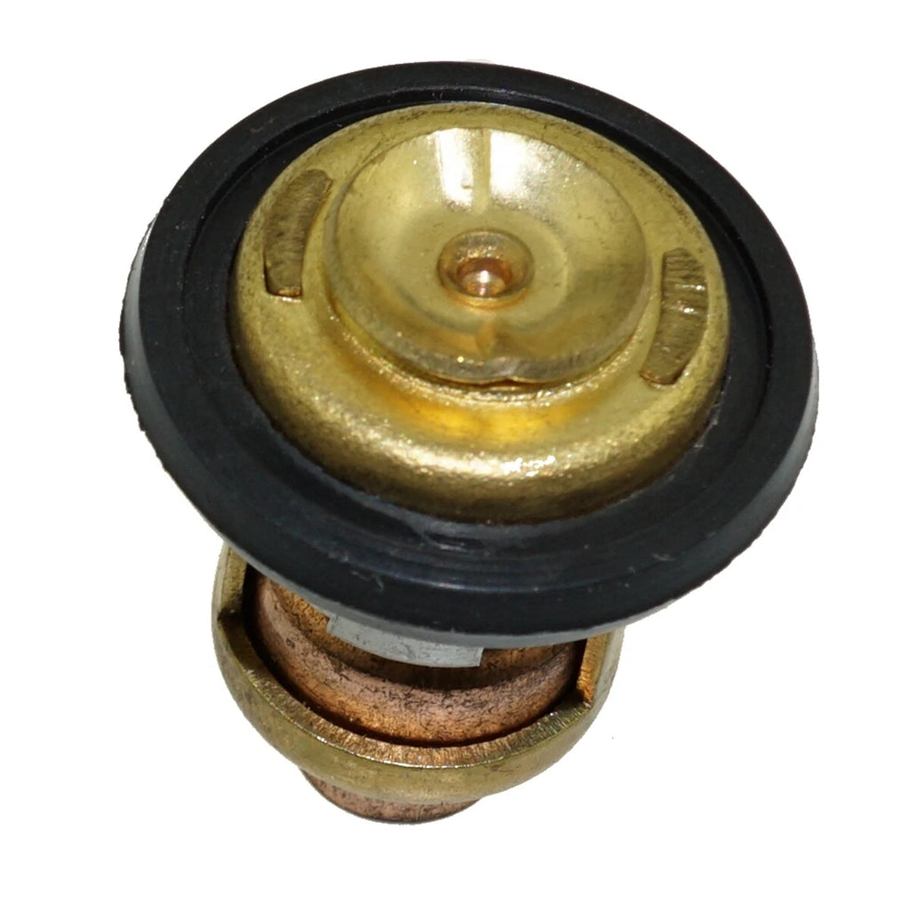 Thermostat for Yamaha 4-Stroke Outboard Motor (66M-12411-00-00, 66M-12411-01-00)