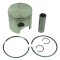 Piston Kit for Johnson Evinrude V4-6-8 Looper (STD) 391481, 4121