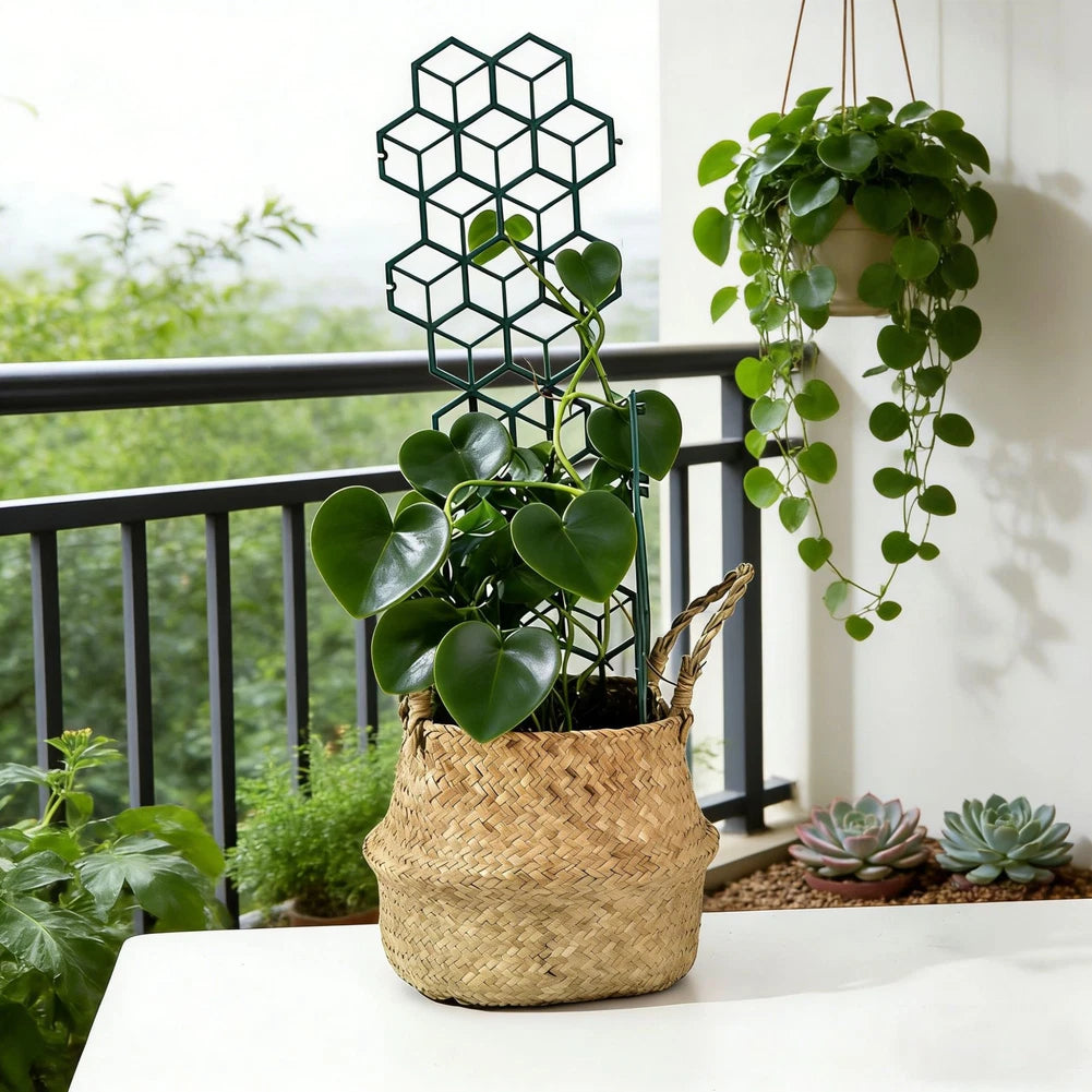 Green Plastic Trellis for Potted Climbers (32x16.5cm)