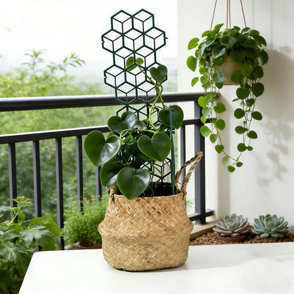 Green Plastic Trellis for Potted Climbers (32x16.5cm)