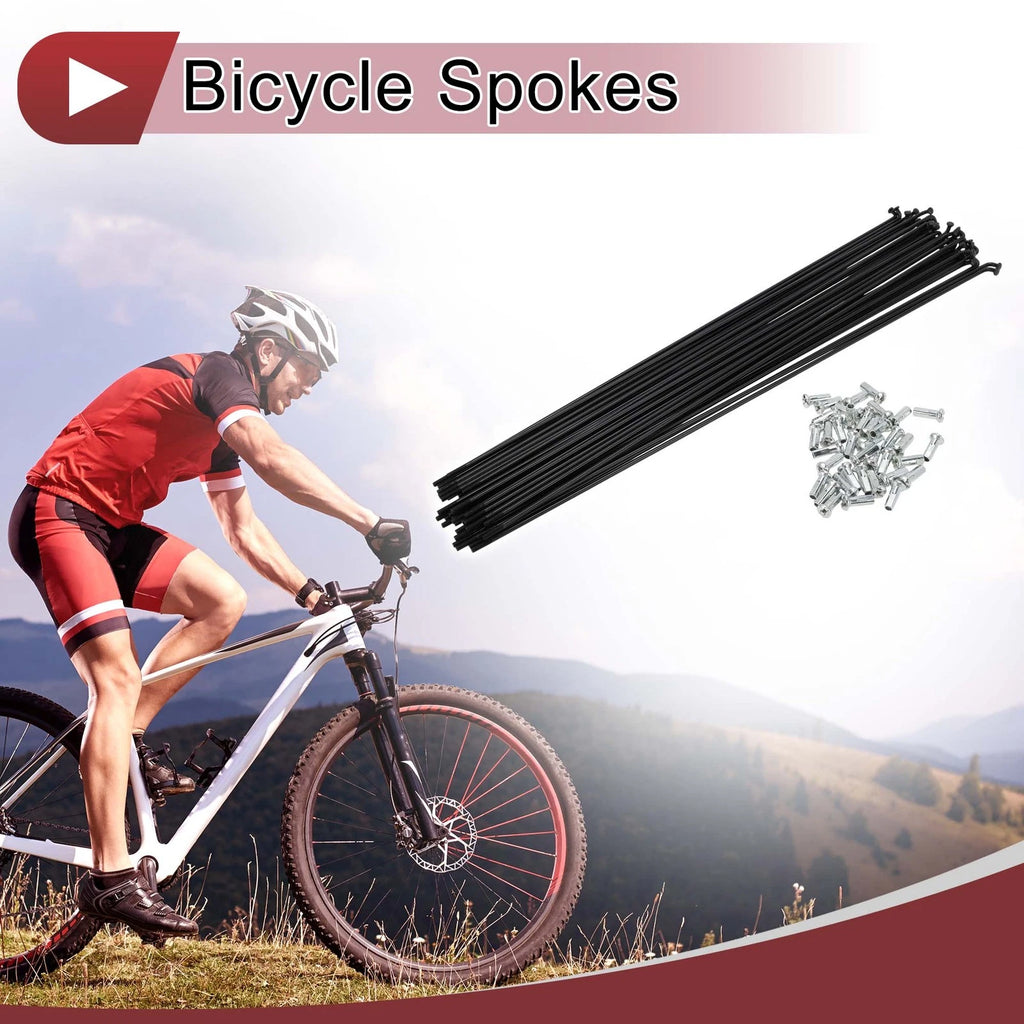 Bicycle Spoke Set Carbon Steel 295mm for 38 Set 13G Wheels (2000–2010)