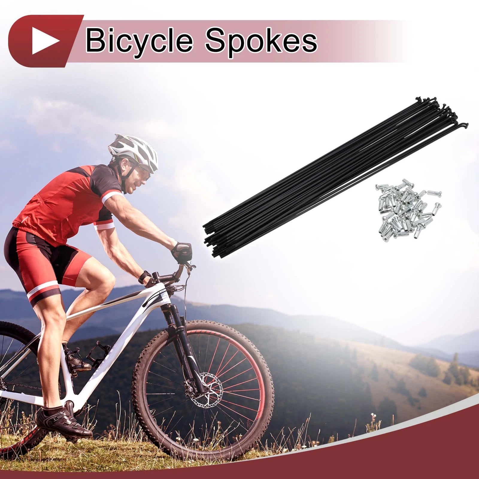 Bicycle Spoke Set Carbon Steel 295mm for 38 Set 13G Wheels (2000–2010)