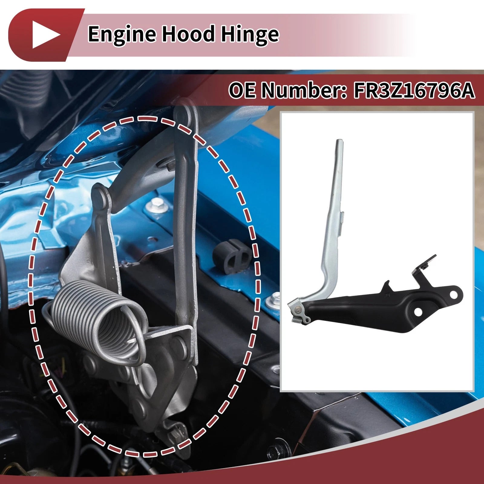 Hood Hinge for Ford Mustang (2015–2017) Right Side 1 pcs