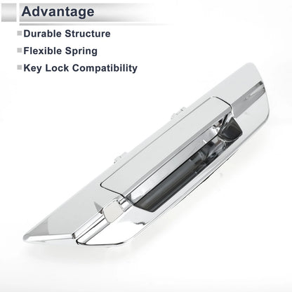 Exterior Door Tailgate Handles for Toyota (No. 690900K120)