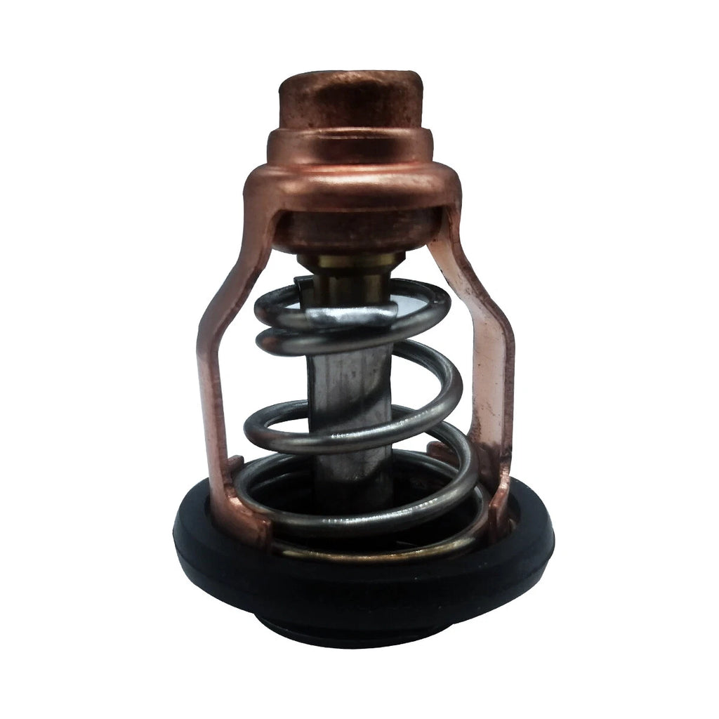 Thermostat for Suzuki Outboard 100 115 140 150 175 200 (17670-90J20, 17670-90J21)
