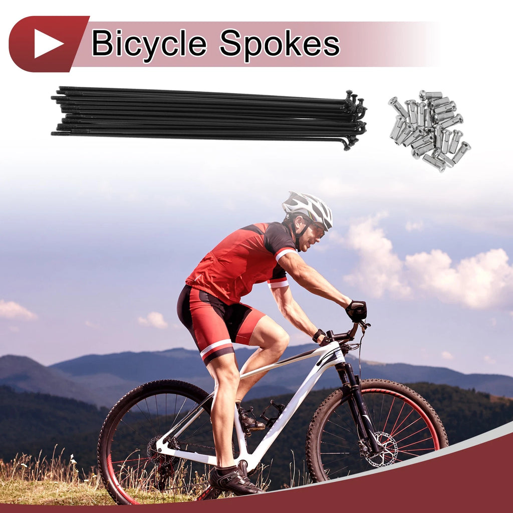 Bicycle Spokes Replacement Set for 13G 171mm 304 Stainless Steel (Black)