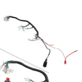 Complete Electrical Wiring Harness for Honda CG125 (2000–2023)
