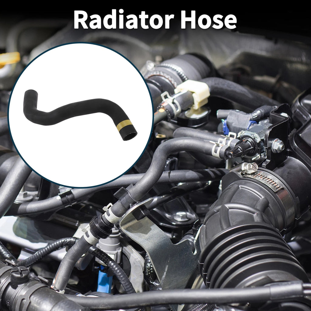 Radiator Hose Lower Replacement for Toyota Levin 2017–2017
