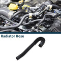 Radiator Coolant Hose for Audi A5L (2018–2022) 4GD121056A
