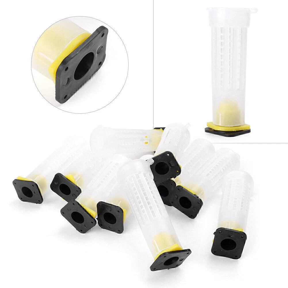 Beekeeping Rearing Cup Kit Queen Bee Cages Beekeeper Equipment Tools Kit 10 PCS