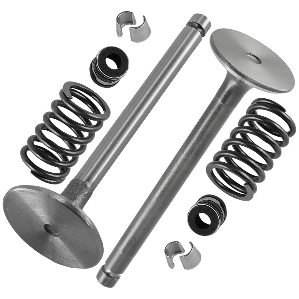 Intake Exhaust Valve Kit Replacement for Kohler Command PRO Twin CH20 (2006–2016)