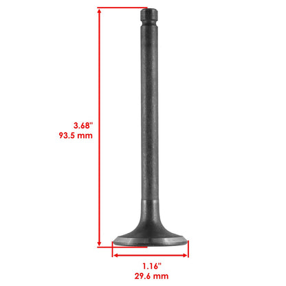 Intake and Exhaust Valves Replacement for Kohler K241 Engines (1998–2005)