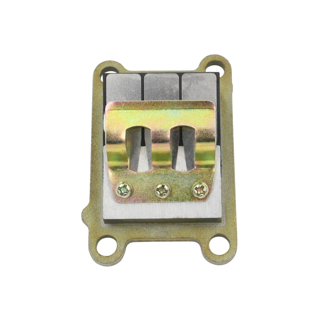 Reed Valve Assy for Yamaha 2 Stroke 4HP 5HP Outboard Motor (6E0-13610-00)