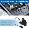 Hood Latch Assembly Replacement for Audi S4 (2001–2009)