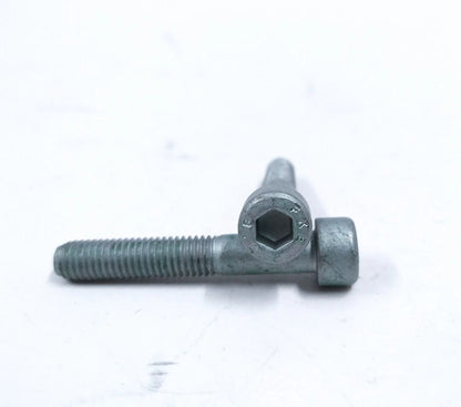 25X 50mm 8.8 Cylinder Head Screw for MAN M8