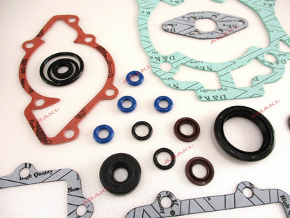Complete Gasket Kit for Ski Doo MX Z 600 RS (2009–2009) 09-711309