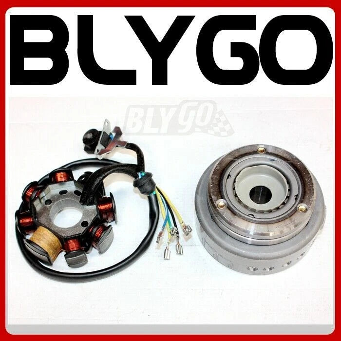 8 Poles Magneto Stator Roller Flywheel for 250cc Engine ATV (PIT Trail Quad)