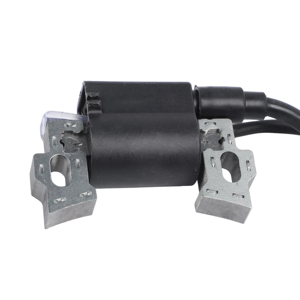 Engine for 1P65F (Lawn Care Equipment)