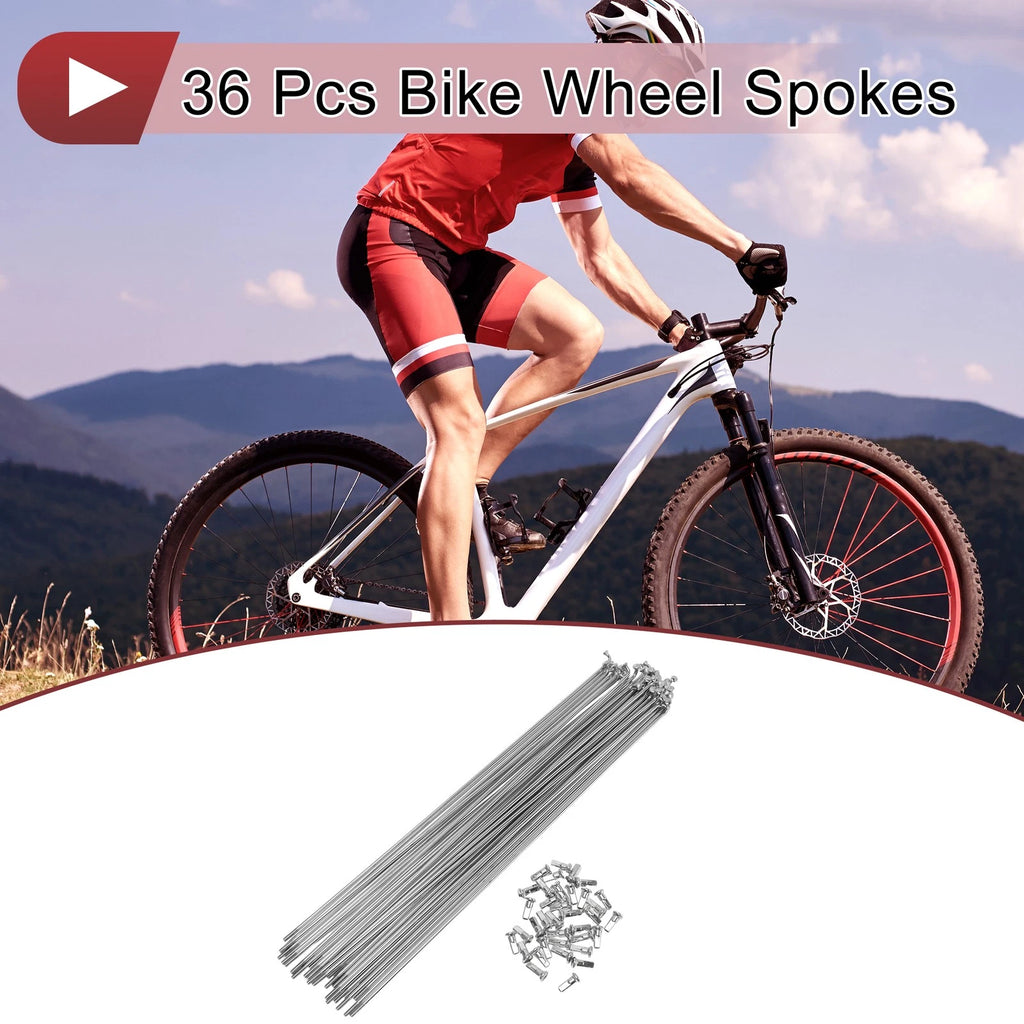 Bicycle Spokes 280mm Steel Galvanized Set for 12G Wheel Build (2000–2000)