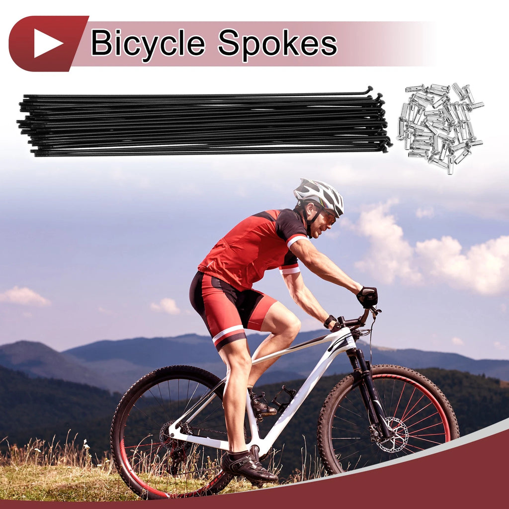 Bicycle Spokes 251mm Carbon Steel Replacement Set for 13G Wheels (2007–2017)