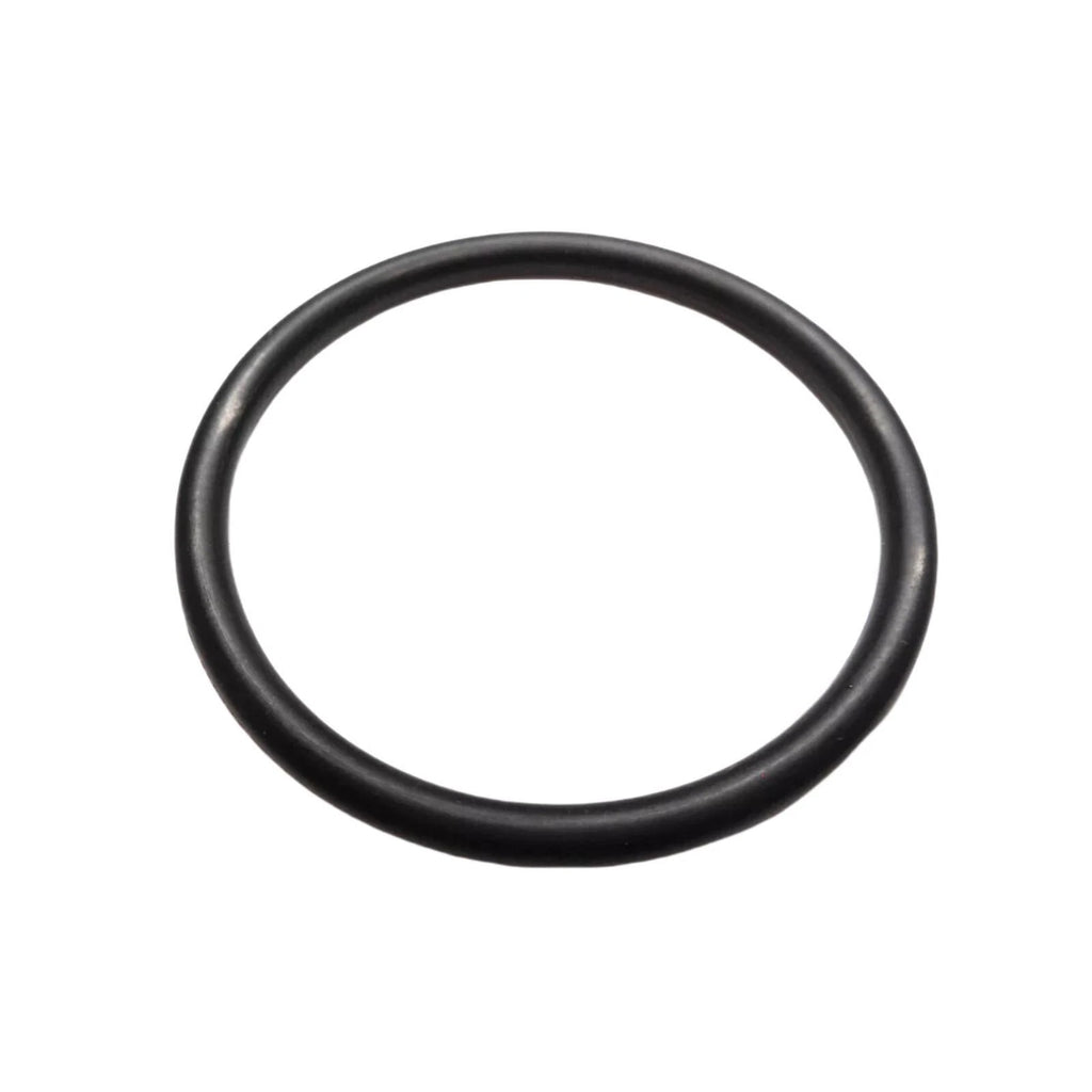 2X O-Ring for OMC (302588)