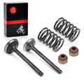 Intake Exhaust Valve Set with Seals & Springs for Club Car DS (1992–Up)