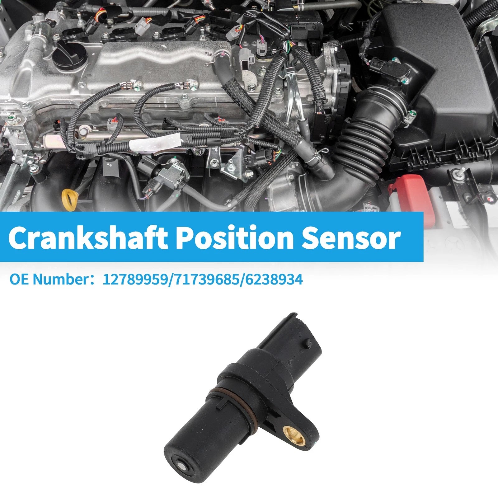 Crankshaft Position Sensor Replacement for Chevy Cobalt SS 2.0 (2005–2007)