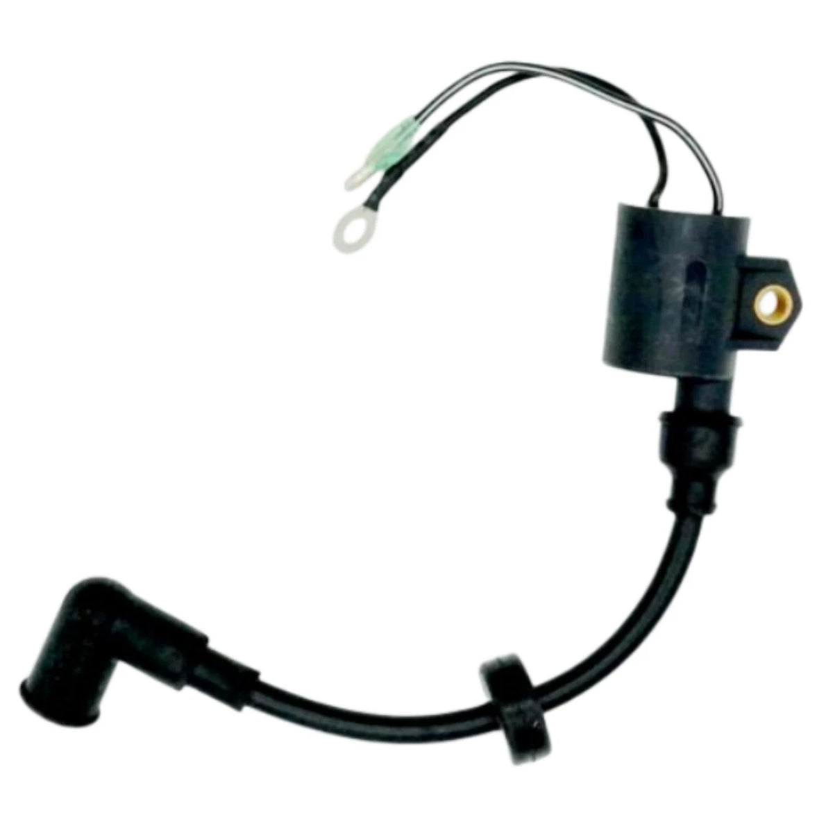 Ignition Coil for Yamaha 2 Stroke 25 30HP C30 Outboard Motor (61N-85570-00)