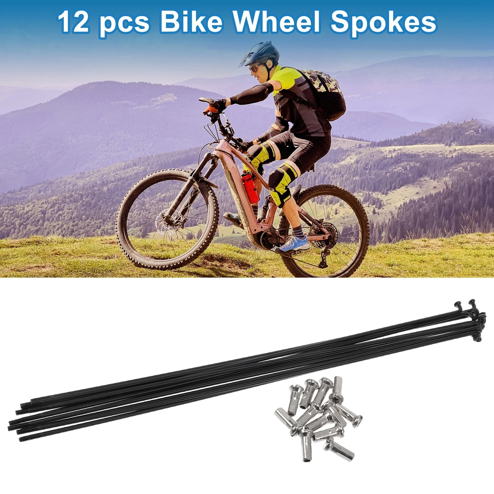 Bicycle Spokes Nipple Set 304 Stainless Black for Universal Fit (2000–2020)