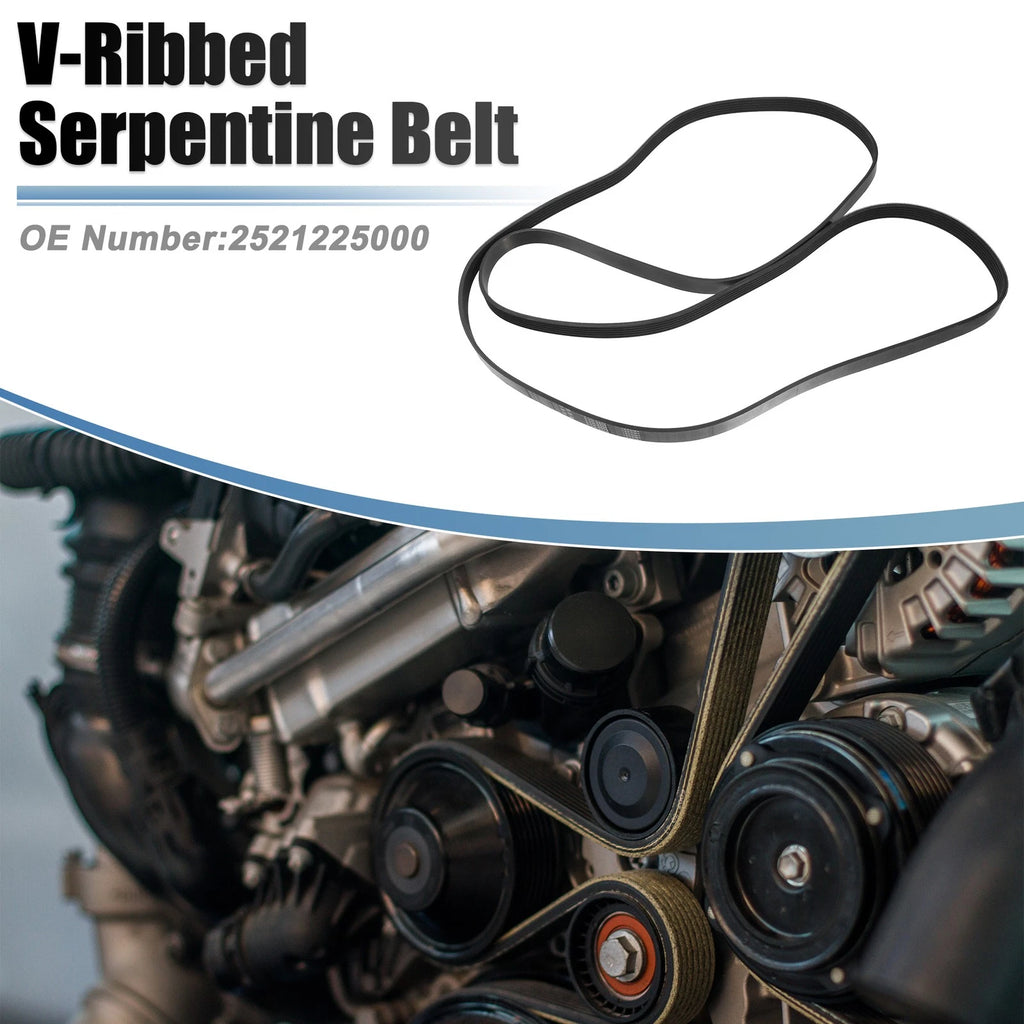 V-Ribbed Serpentine Drive Belt for Ford Mustang (2006–2010)