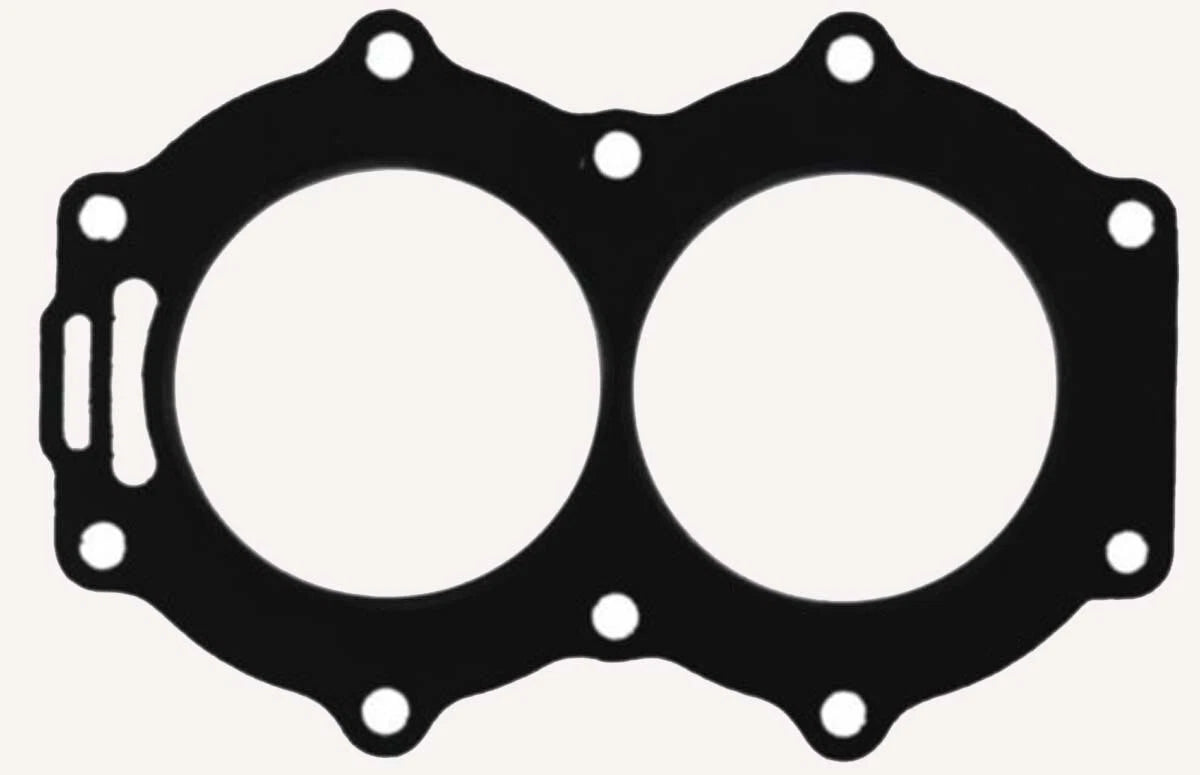 WSM Gasket for