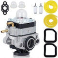 Carburetor for RY252CS, RY251PH, RY254BC (25CC)