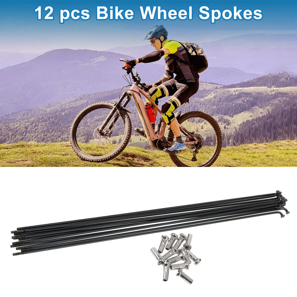Bicycle Spoke Nipple Set 241mm 304 Stainless Steel Black Universal (14G)