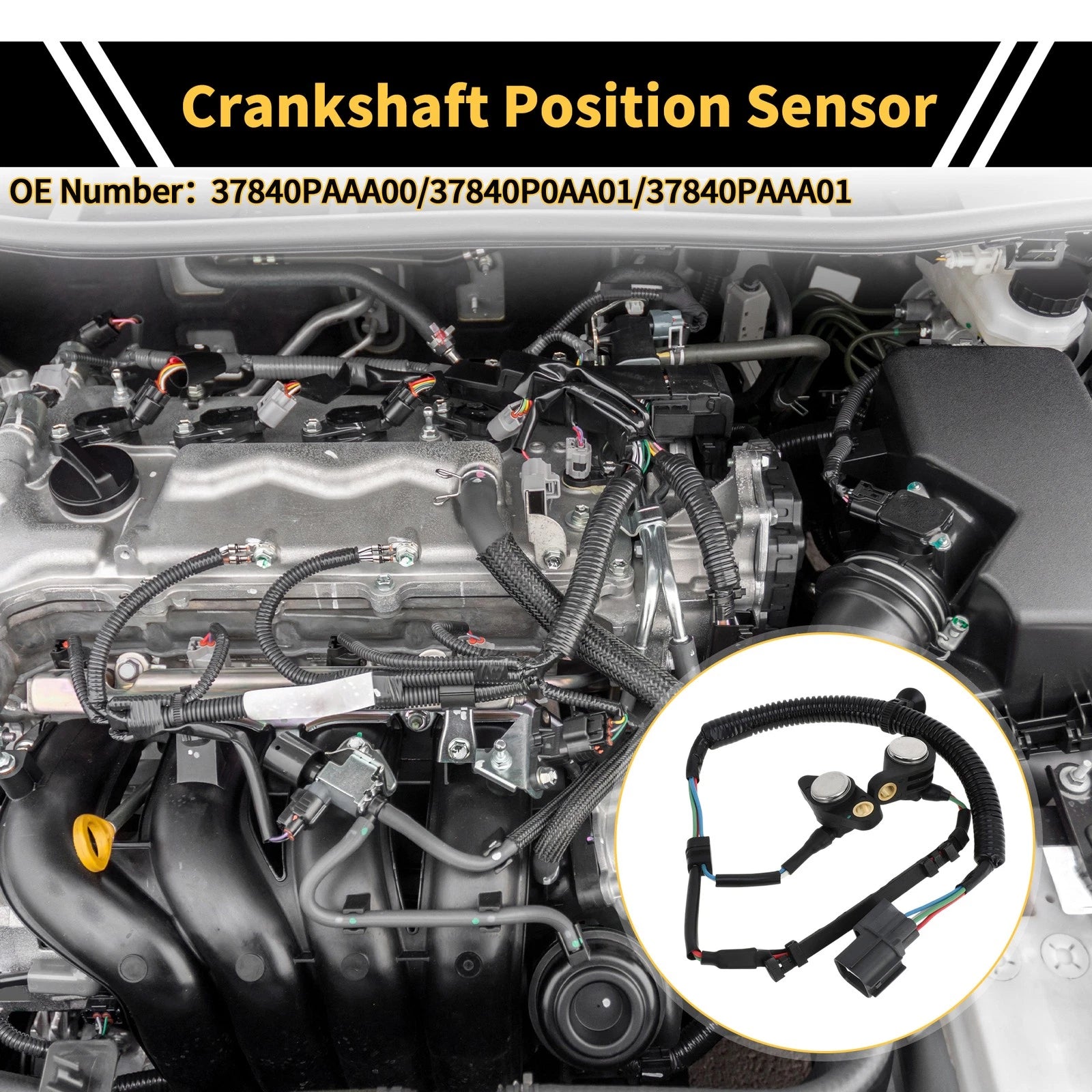 Crankshaft Position Sensor for Honda Accord 2.3 (1996–2002) Replacement 1 Pc